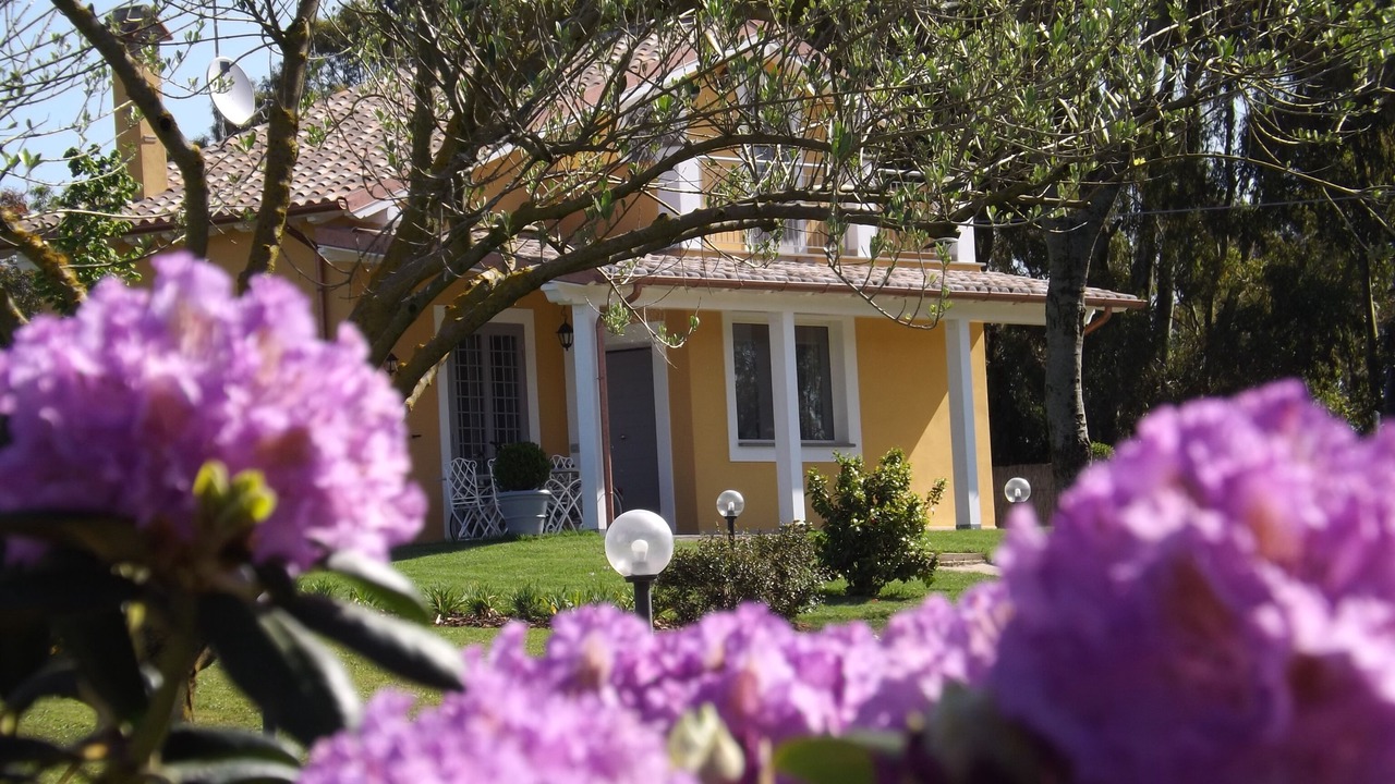 Photo of Outdoor in Lake Bracciano