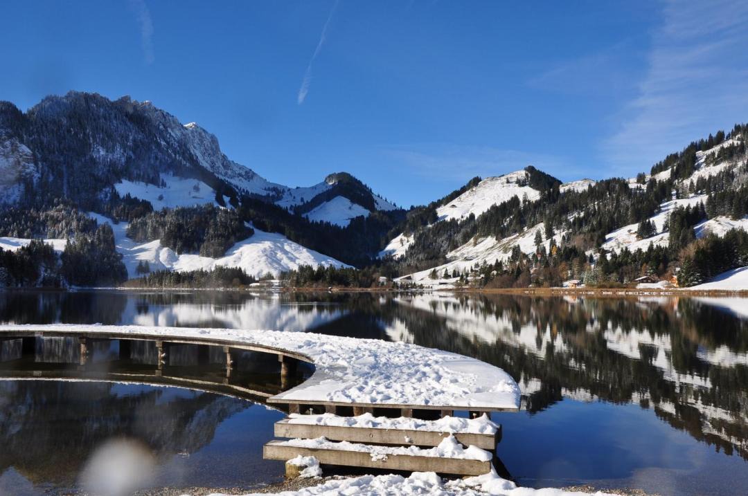 Photo of Others in Schwarzsee