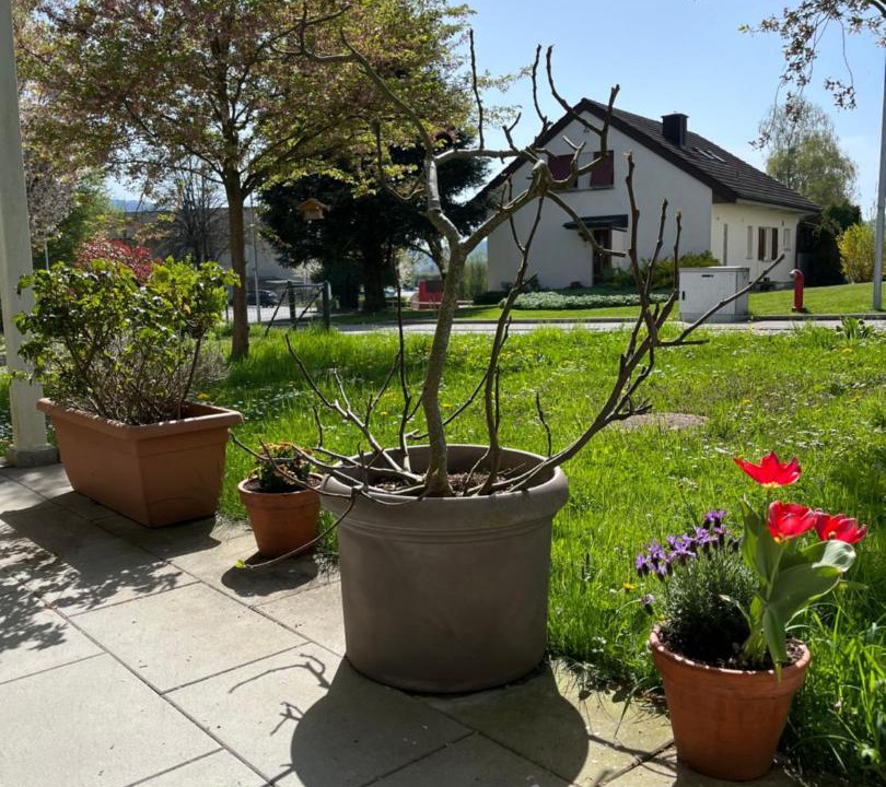 Photo of Others in Schneisingen