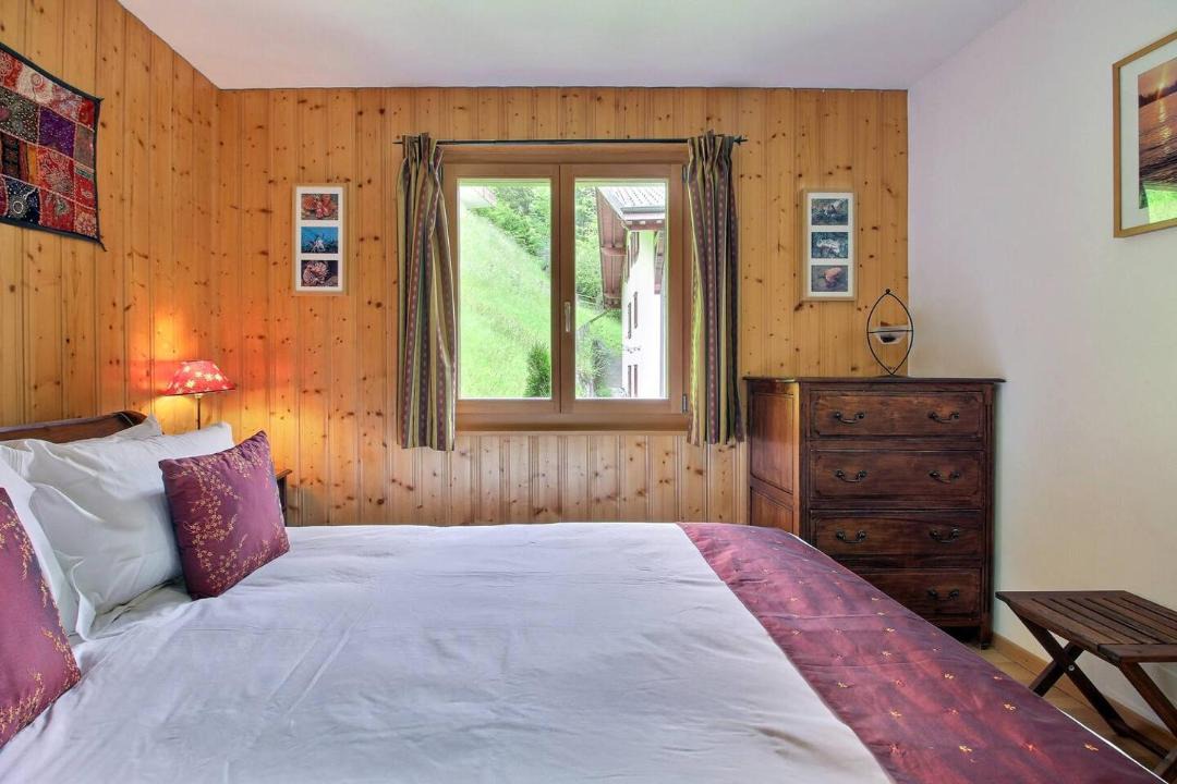 Photo of Others in Champery