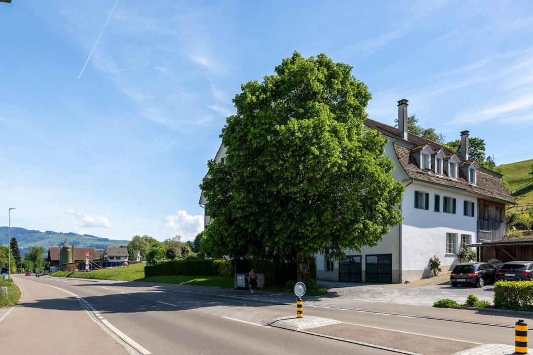 Photo of Others in Horgen District