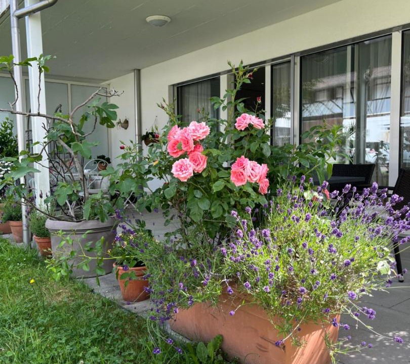Photo of Others in Schneisingen