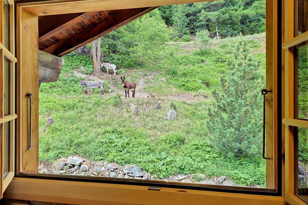 Photo of Others in Arolla