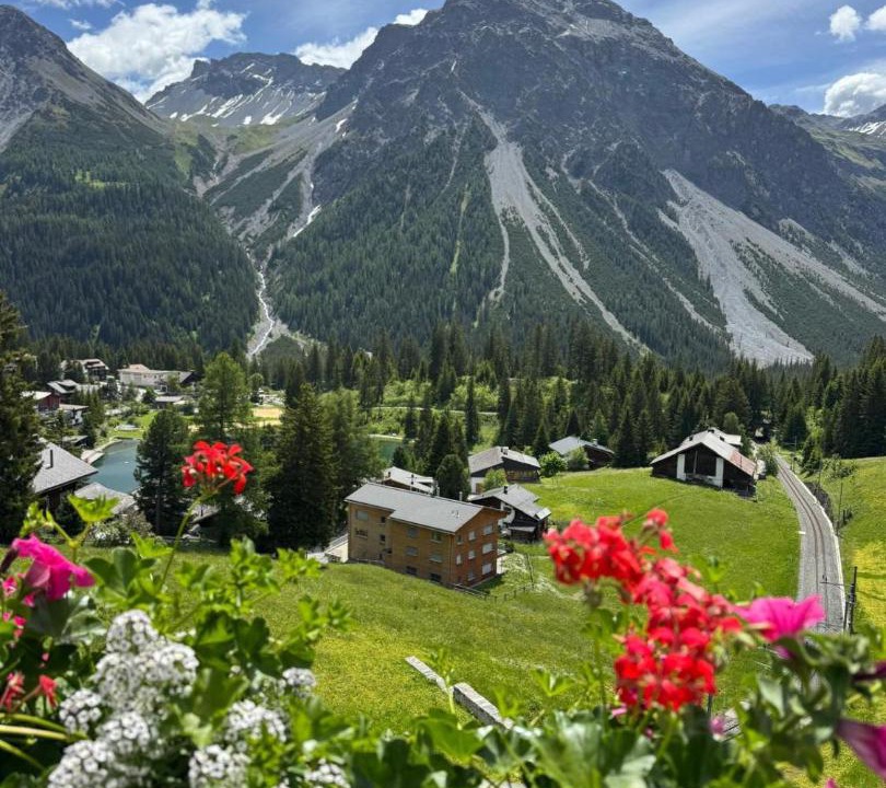 Photo of Others in Arosa