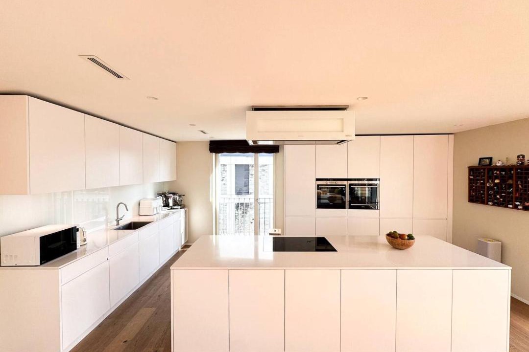 Photo of Kitchen in Meilen District