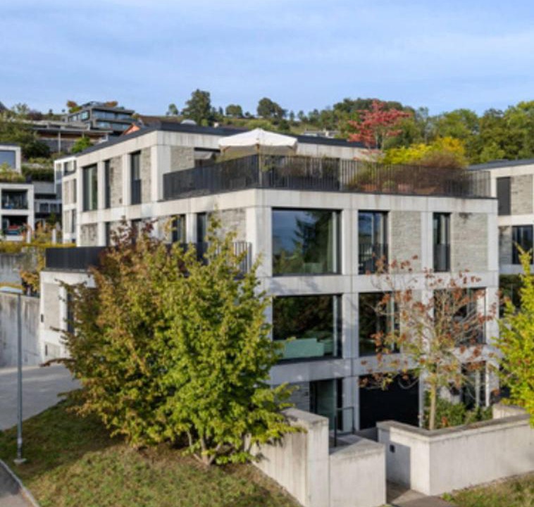 Photo of Others in Meilen District