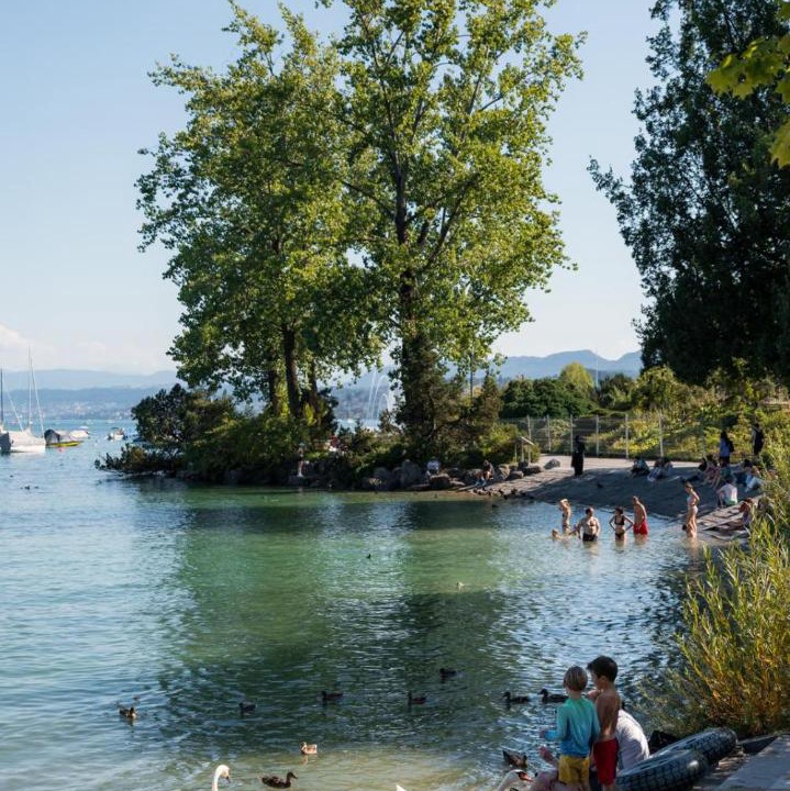 Photo of Others in Horgen District