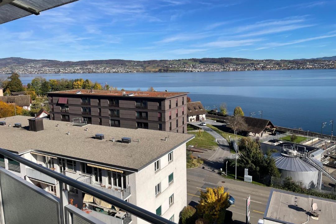 Photo of Others in Horgen District