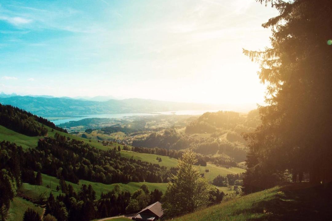 Photo of Others in Rapperswil