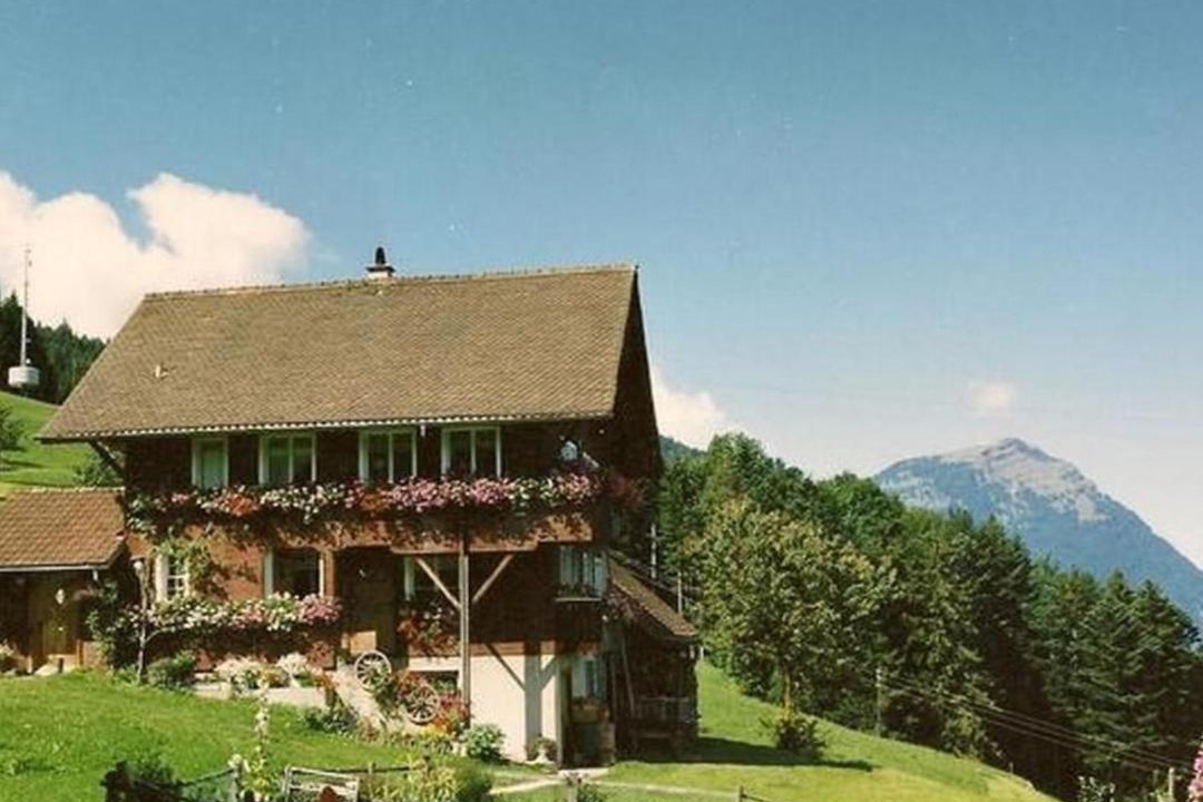 Photo of Others in Lauerz