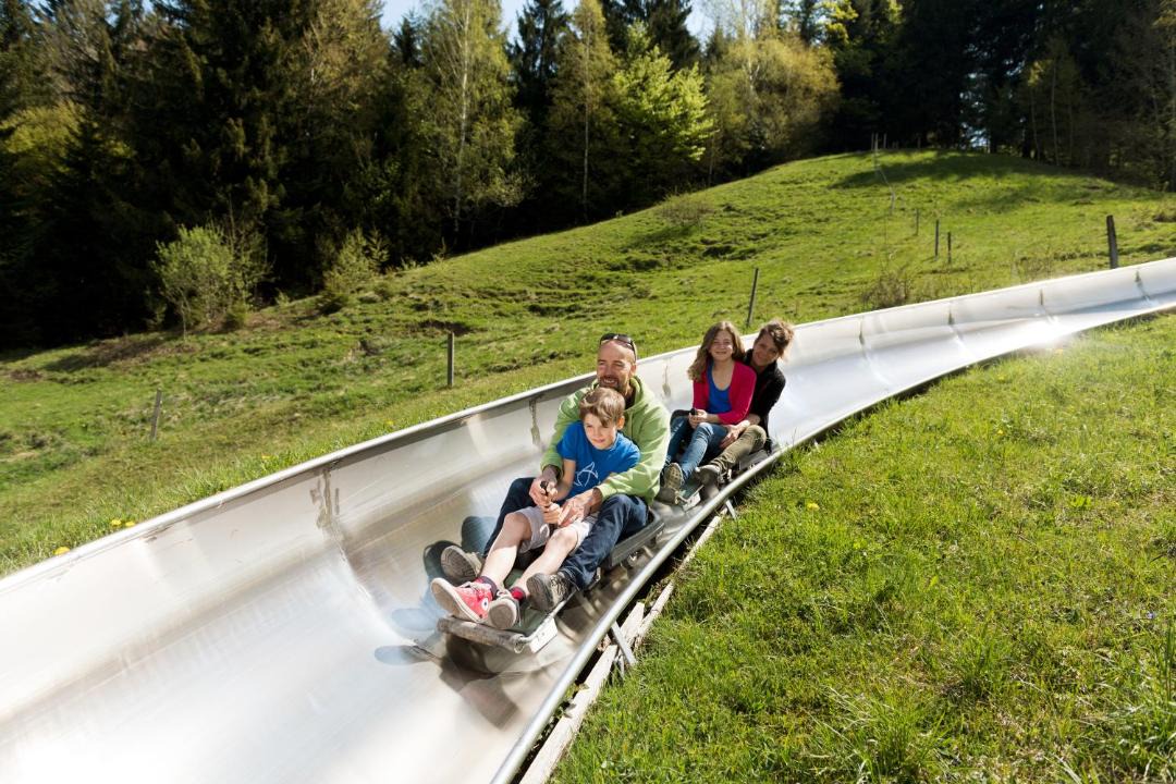 Photo of Others in Horgen District