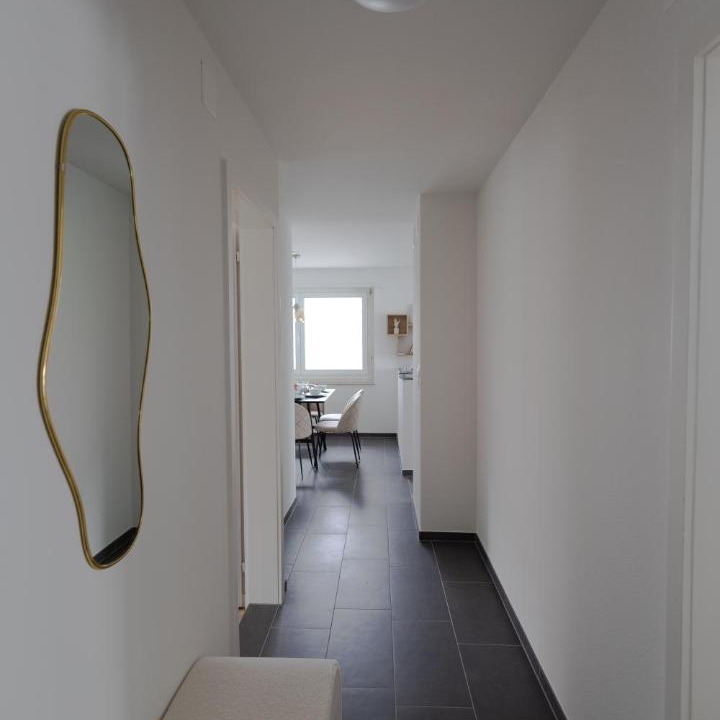 Photo of Others in Horgen District