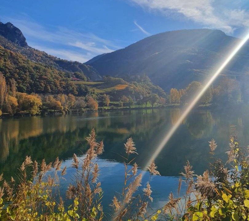 Photo of Others in Sierre