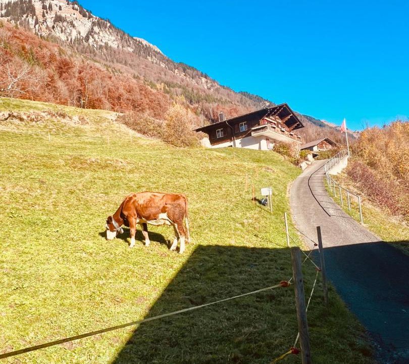 Photo of Others in Niederried bei Interlaken