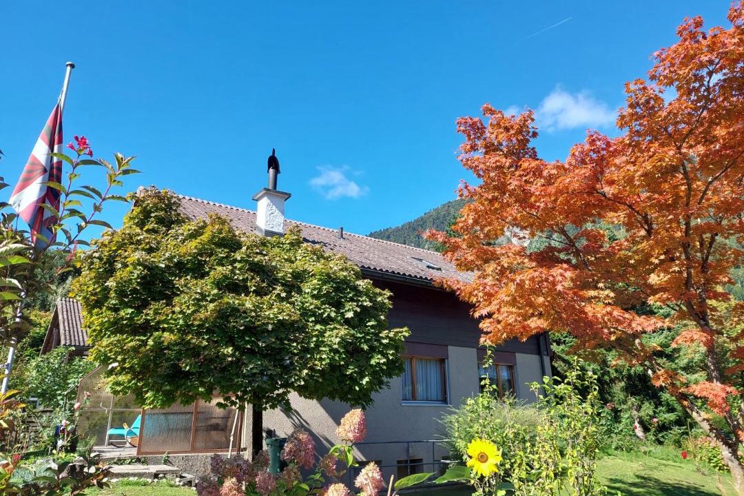 Photo of Others in Central Interlaken