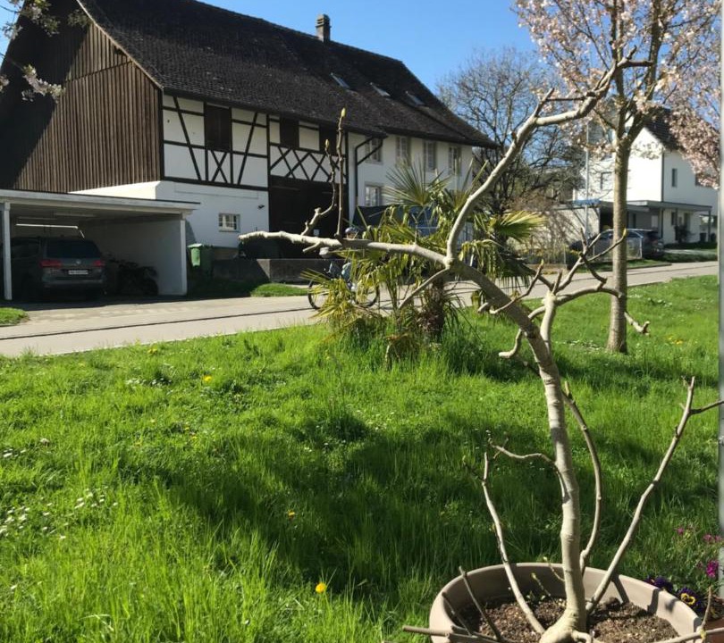 Photo of Others in Schneisingen