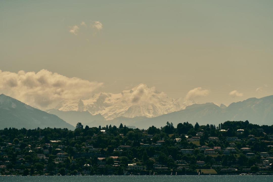 Photo of Others in Bellevue