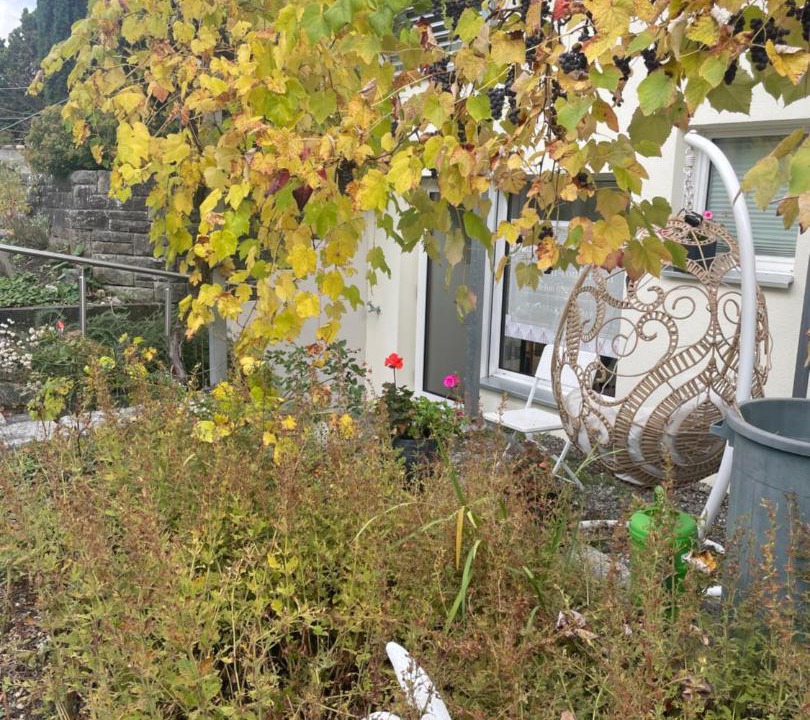 Photo of Others in Winterberg
