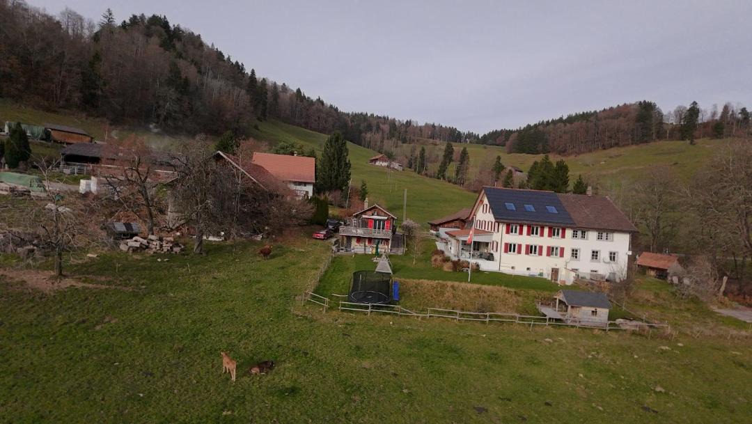 Photo of Others in Hinwil