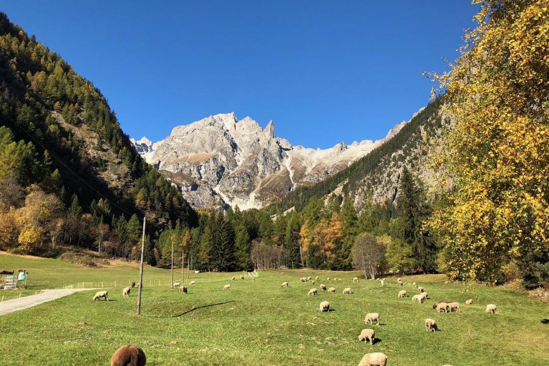 Photo of Others in Saleinaz