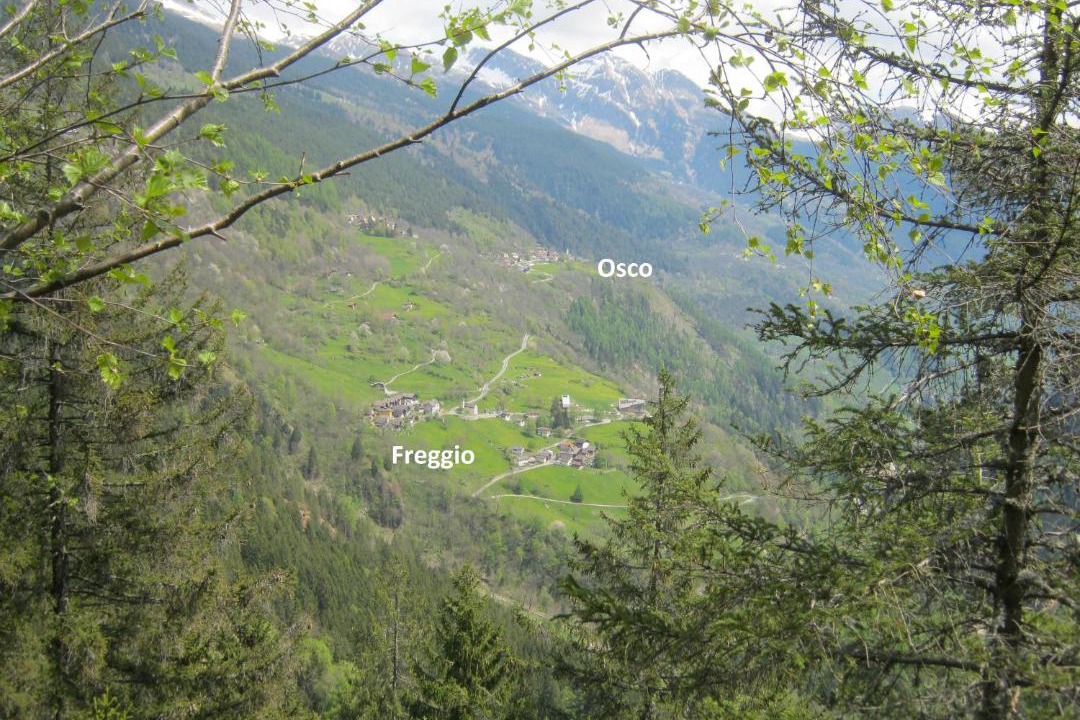 Photo of Others in Osco