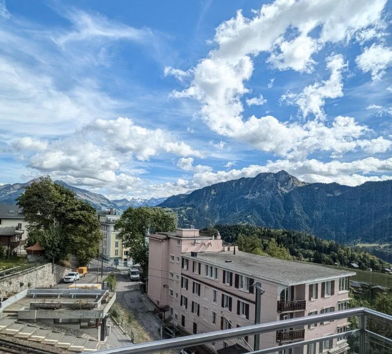 Photo of Others in Leysin