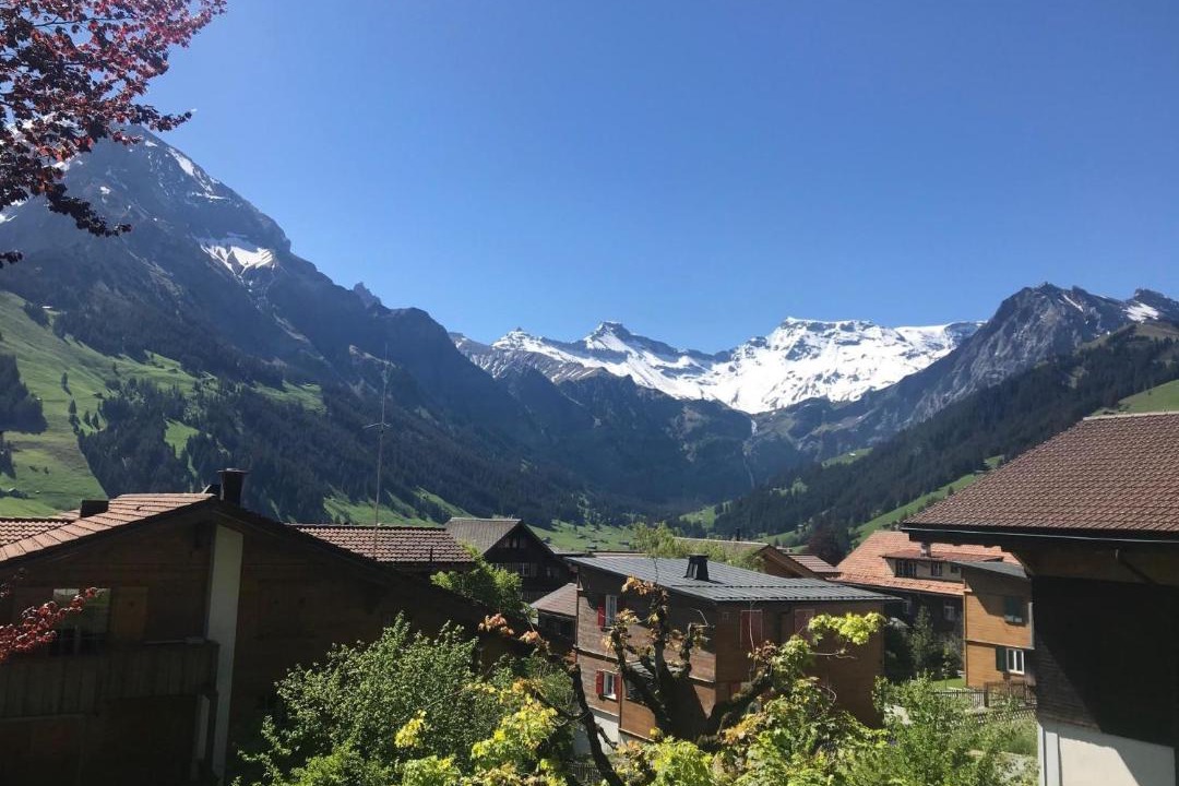 Photo of Others in Adelboden