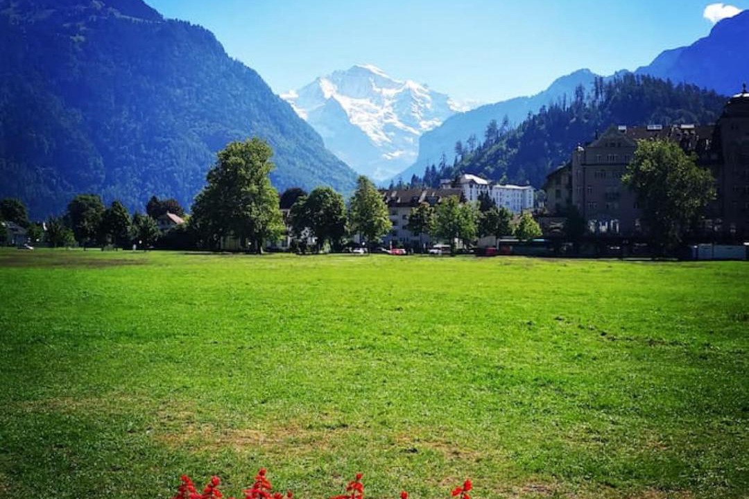 Photo of Others in Central Interlaken