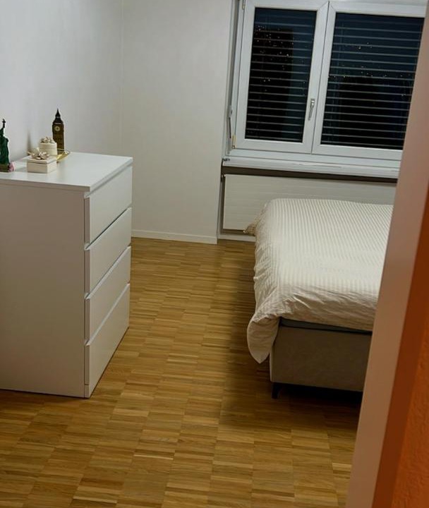 Photo of Others in Bremgarten