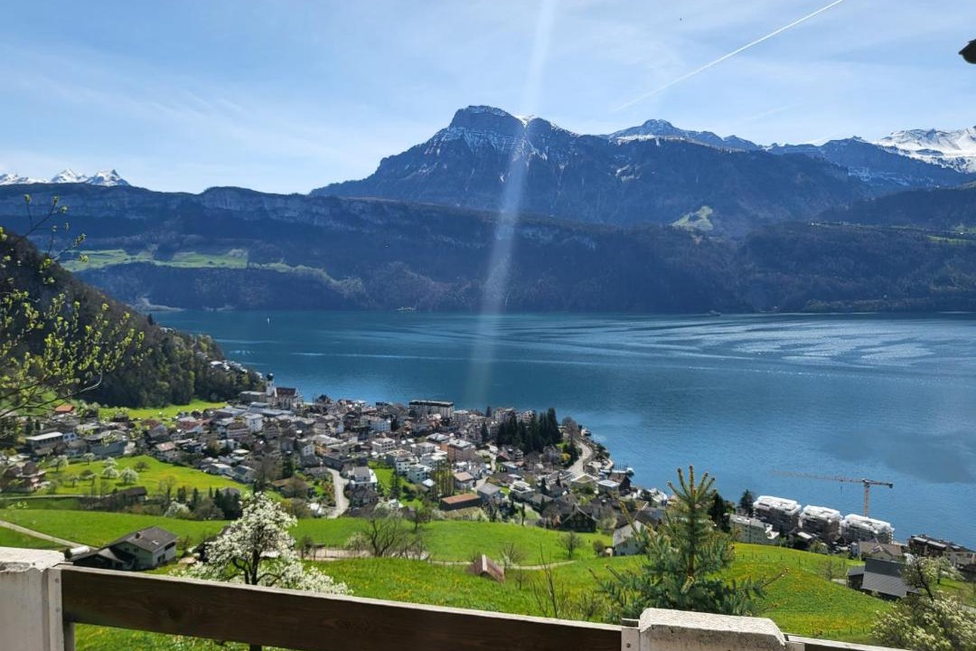 Photo of Others in Gersau