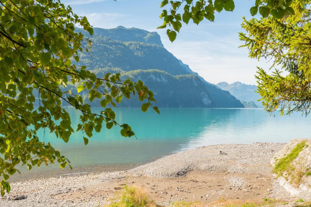 Photo of Others in Brienz