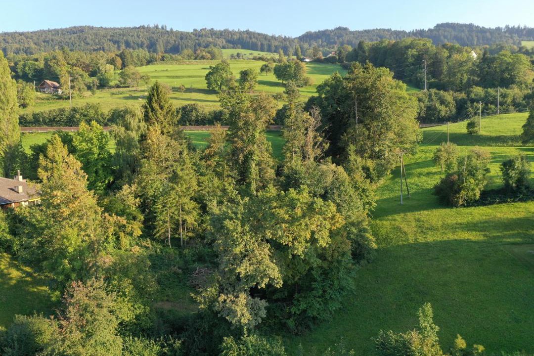 Photo of Others in Rorschacherberg