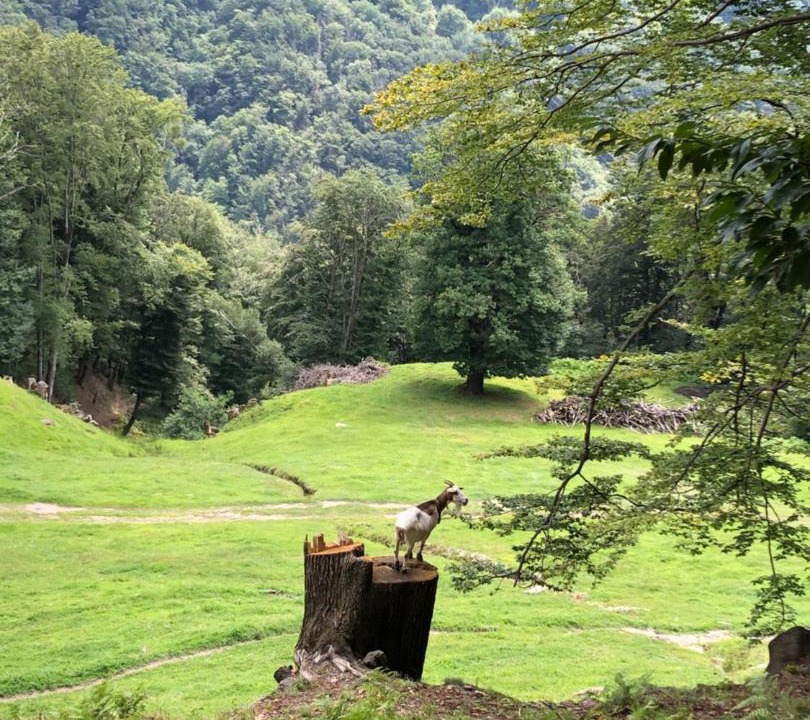 Photo of Others in Valcolla