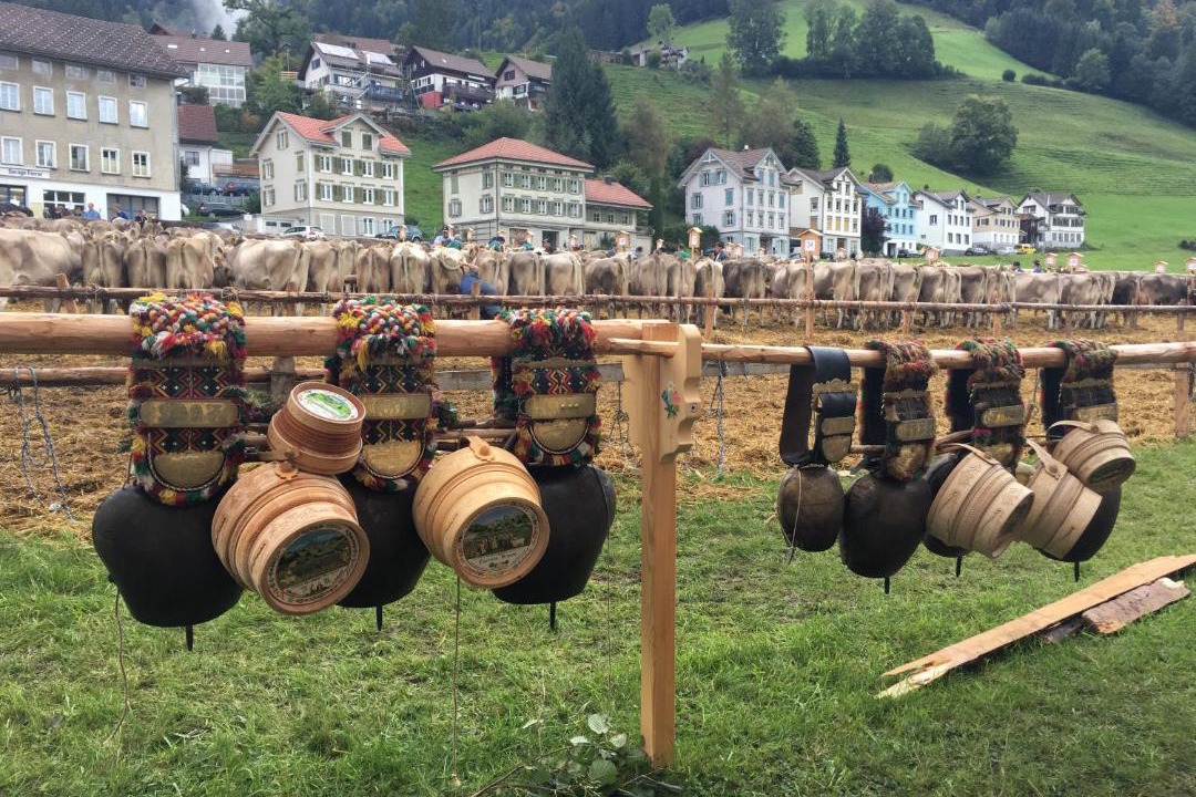 Photo of Others in Neckertal