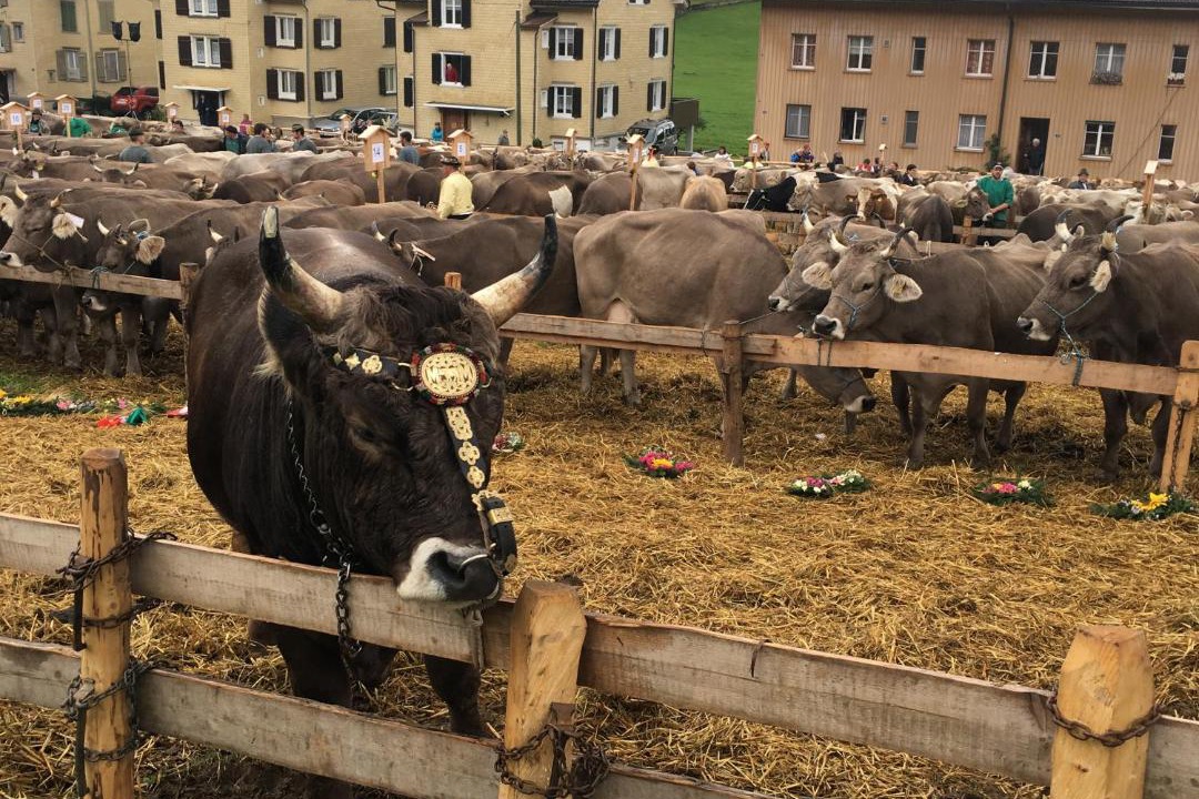 Photo of Others in Neckertal