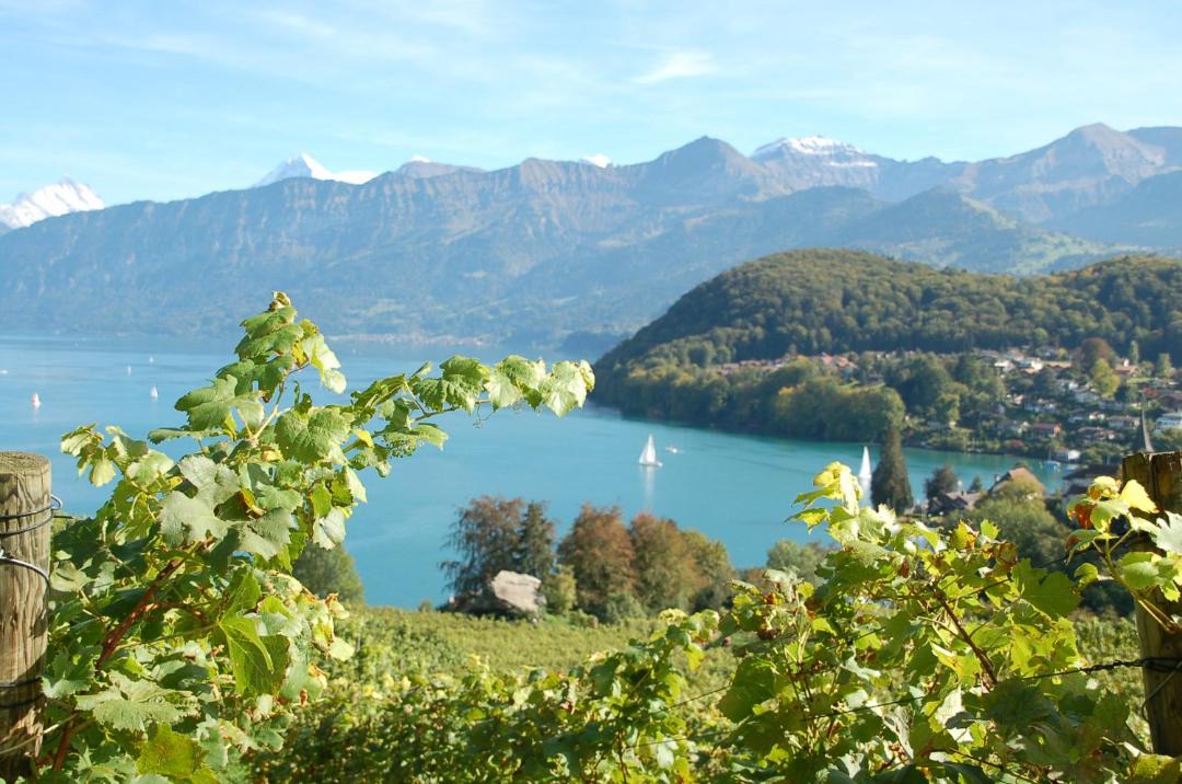 Photo of Others in Spiez