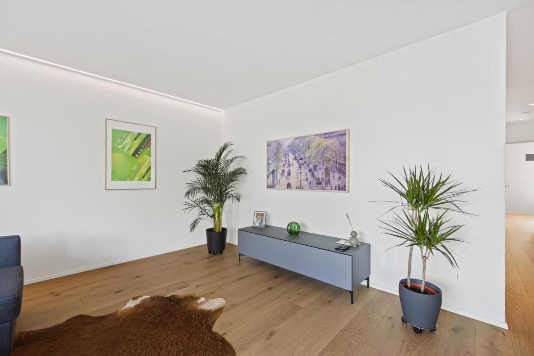 Photo of Others in Dietikon District