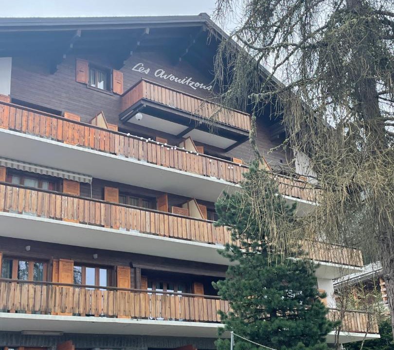 Photo of Others in Verbier