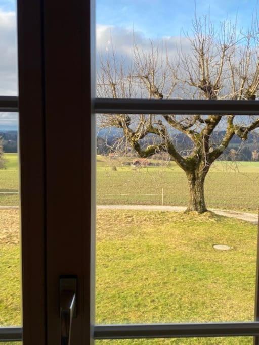 Photo of Others in Schwarzenburg