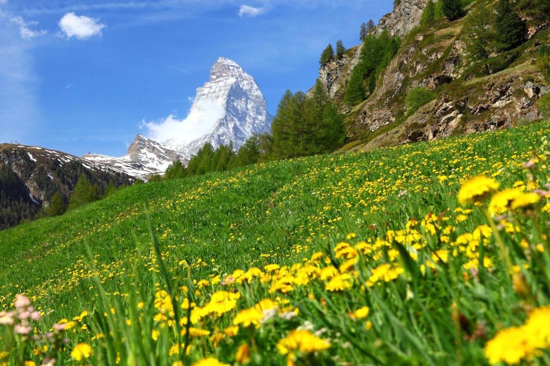 Photo of Others in Zermatt