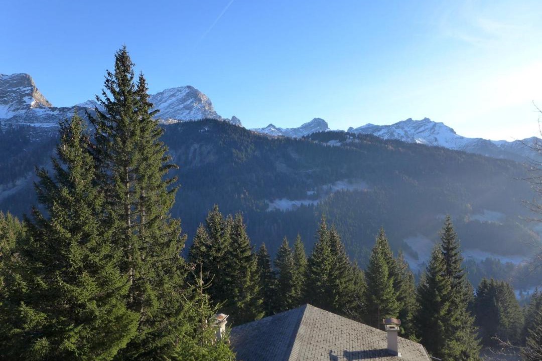 Photo of Others in Alpe des Chaux
