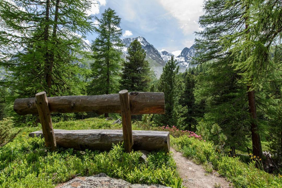 Photo of Others in Arolla
