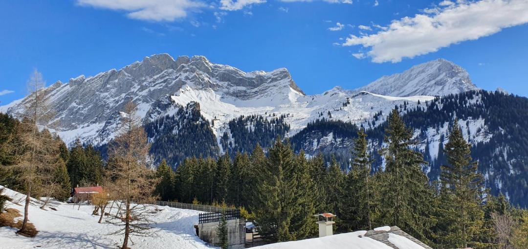 Photo of Others in Alpe des Chaux