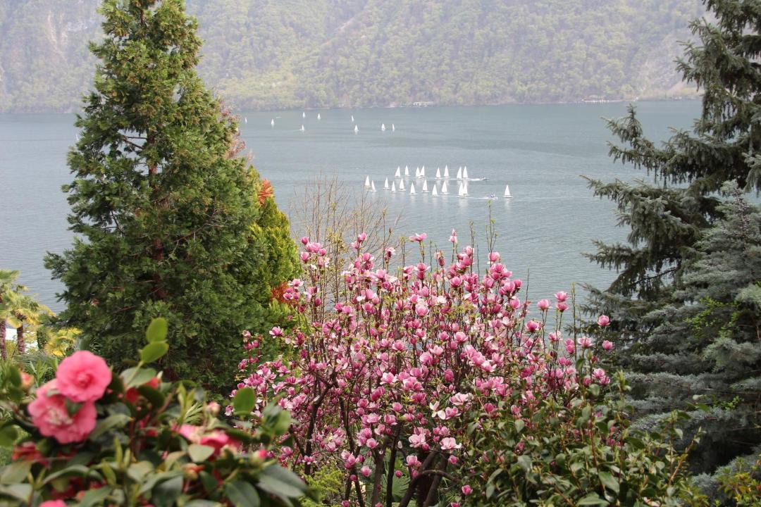 Photo of Others in Castagnola