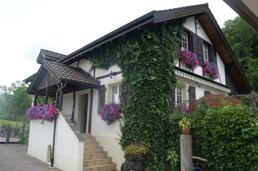 Photo of Others in Zell