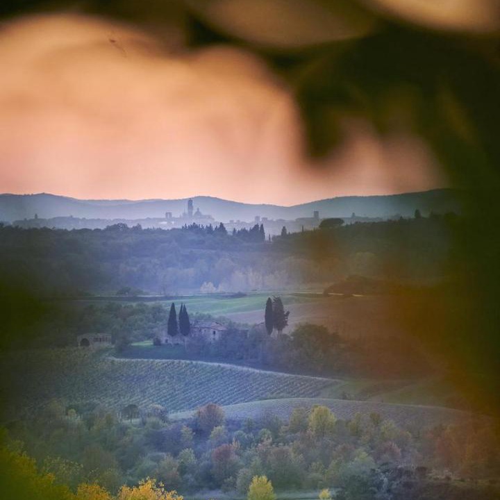 Photo of Others in Castelnuovo Berardenga