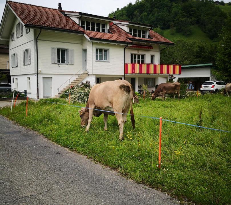 Photo of Others in Busserach