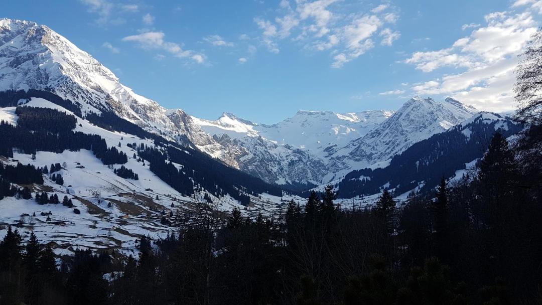 Photo of Others in Adelboden