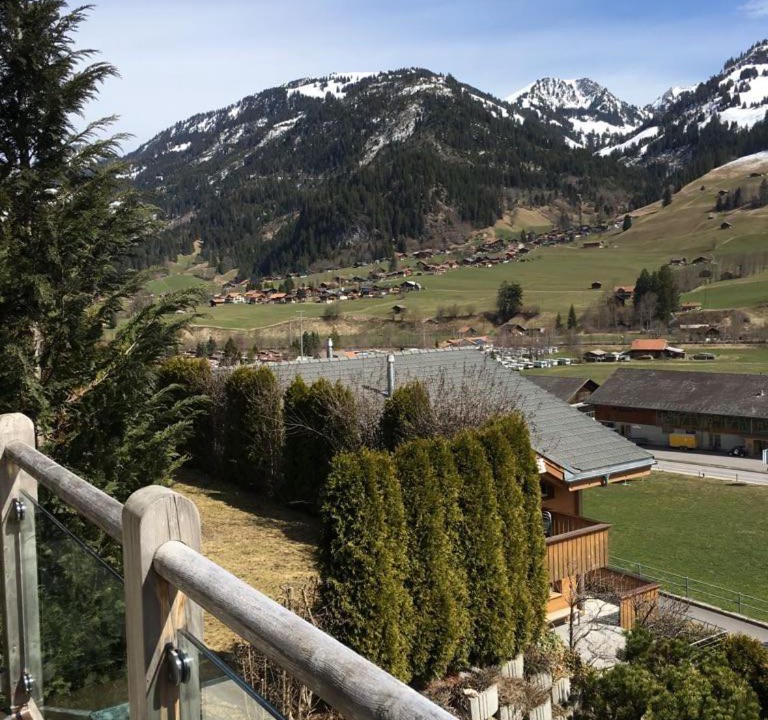 Photo of Others in Zweisimmen