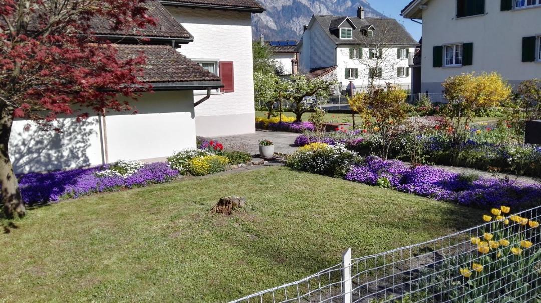Photo of Others in Pfaefers Dorf